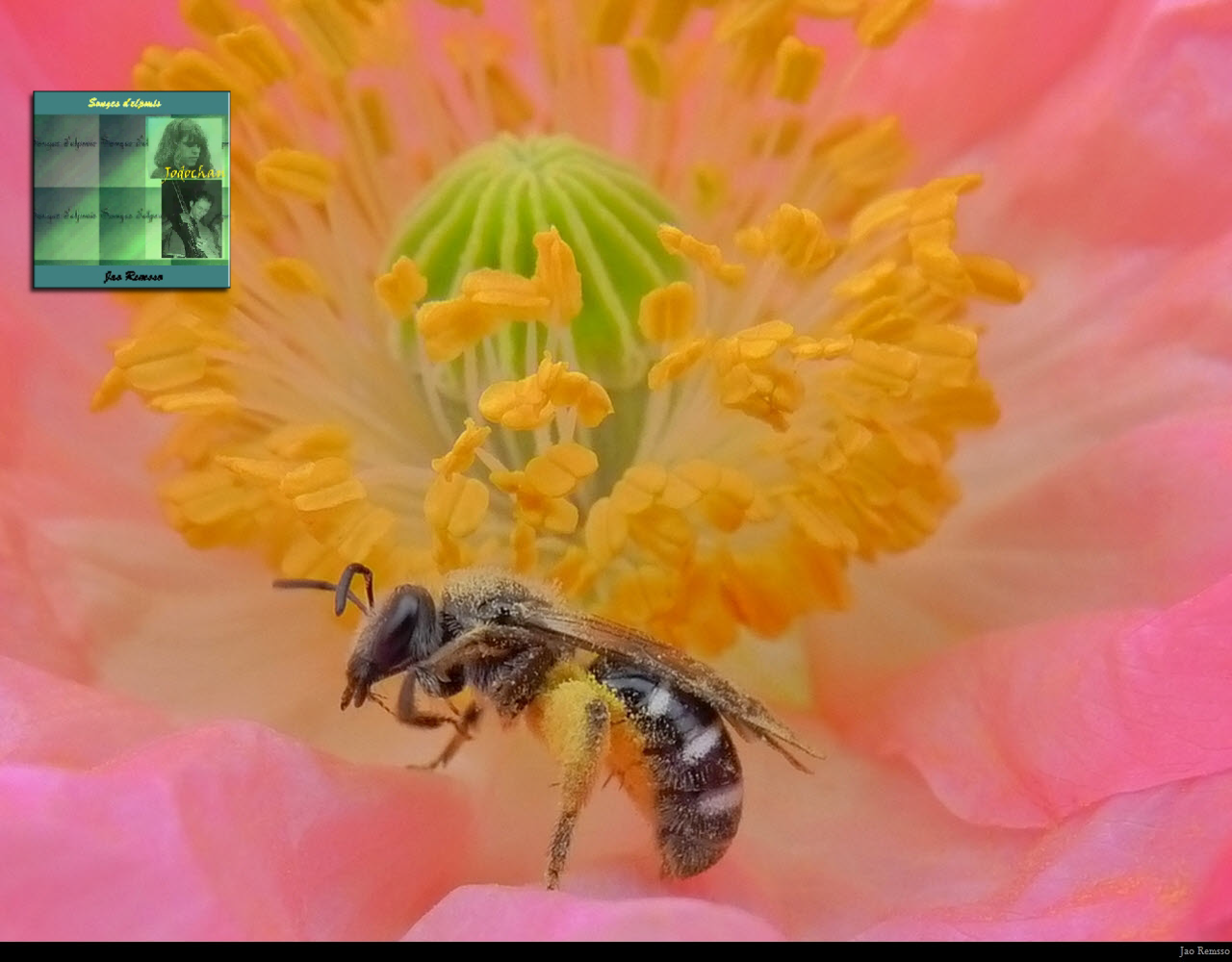wp315227d3.png