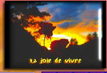 wpb2302482.png