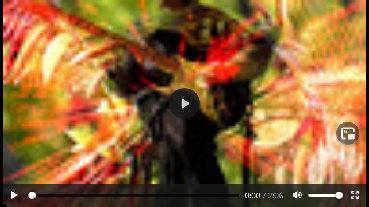 wpca675575.png